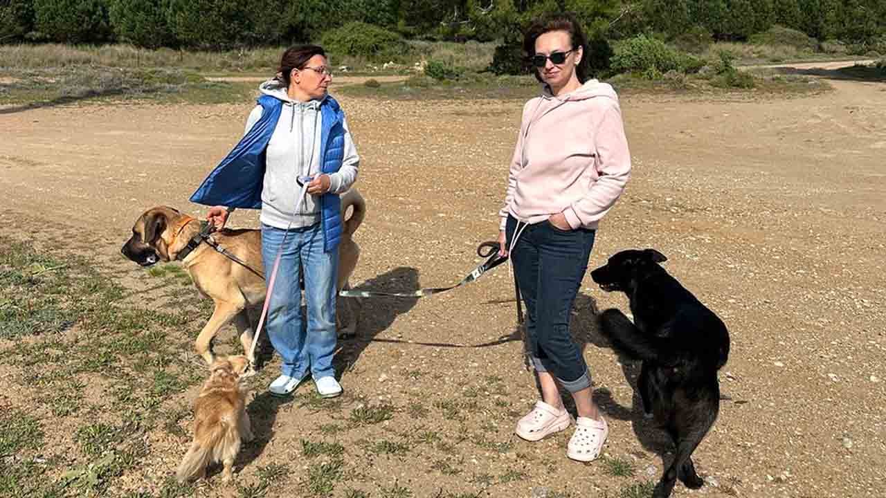 Foto - Ruslar Türkiye’de ilan verdi: Canlısına 100 bin ölüsüne 10 bin TL. ödül