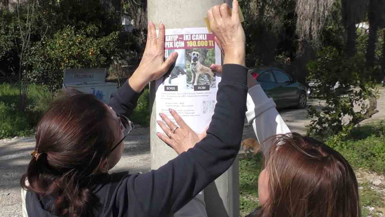 Foto - Ruslar Türkiye’de ilan verdi: Canlısına 100 bin ölüsüne 10 bin TL. ödül