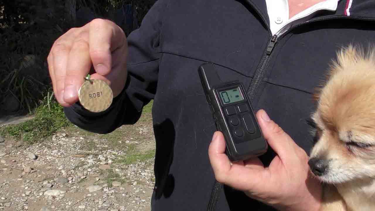 Foto - Ruslar Türkiye’de ilan verdi: Canlısına 100 bin ölüsüne 10 bin TL. ödül