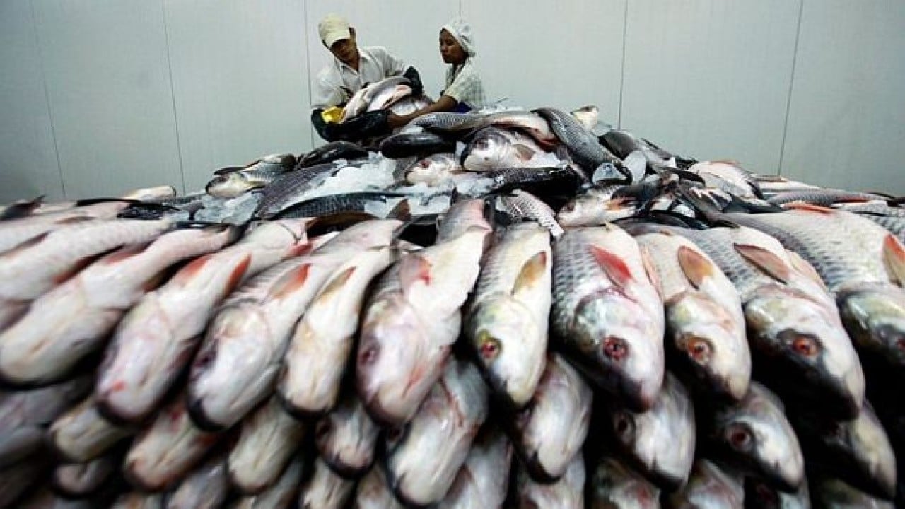 Foto - Rusya almayınca Türkiye 'olay' hamleyi yaptı: Renklerini boyayıp Moskova'ya sattı