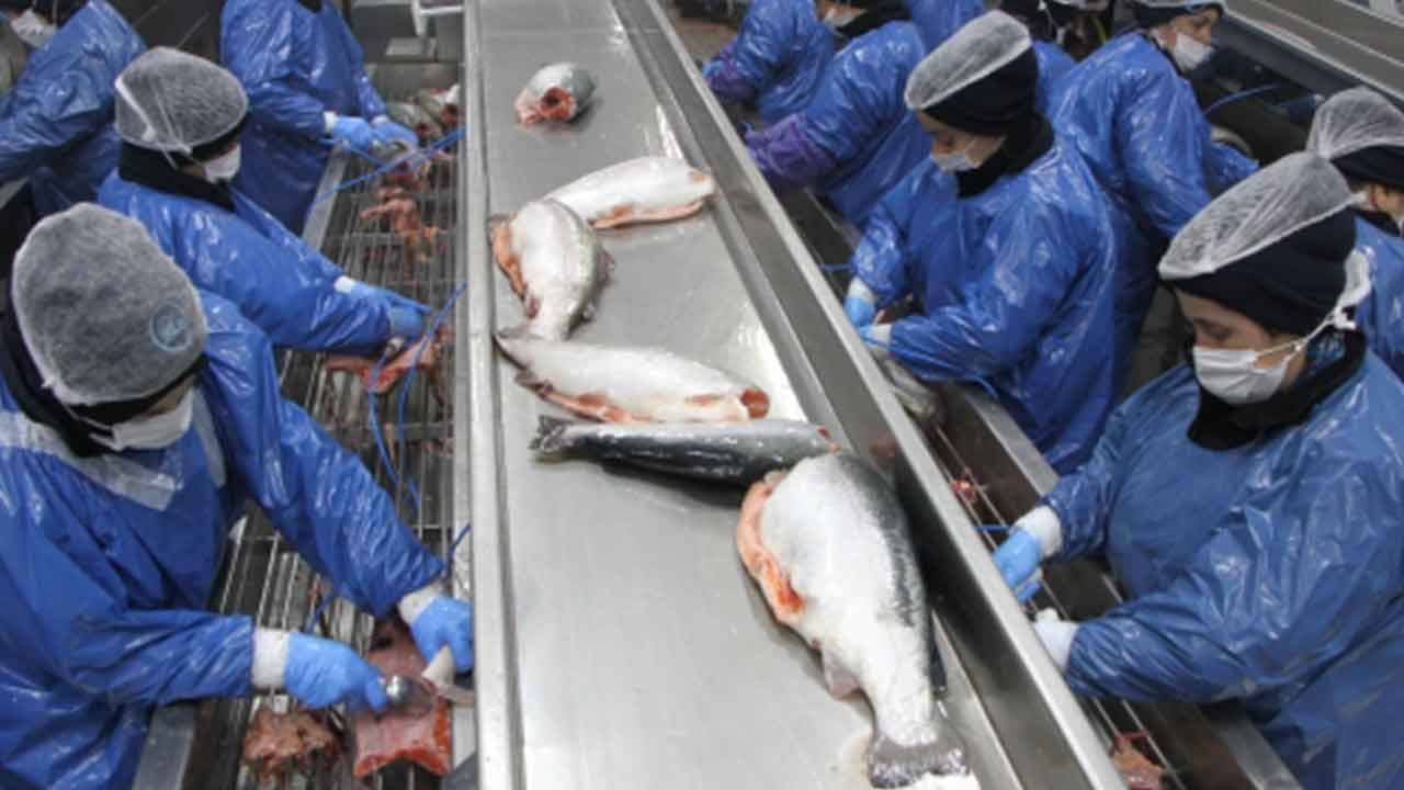 Foto - Rusya almayınca Türkiye 'olay' hamleyi yaptı: Renklerini boyayıp Moskova'ya sattı