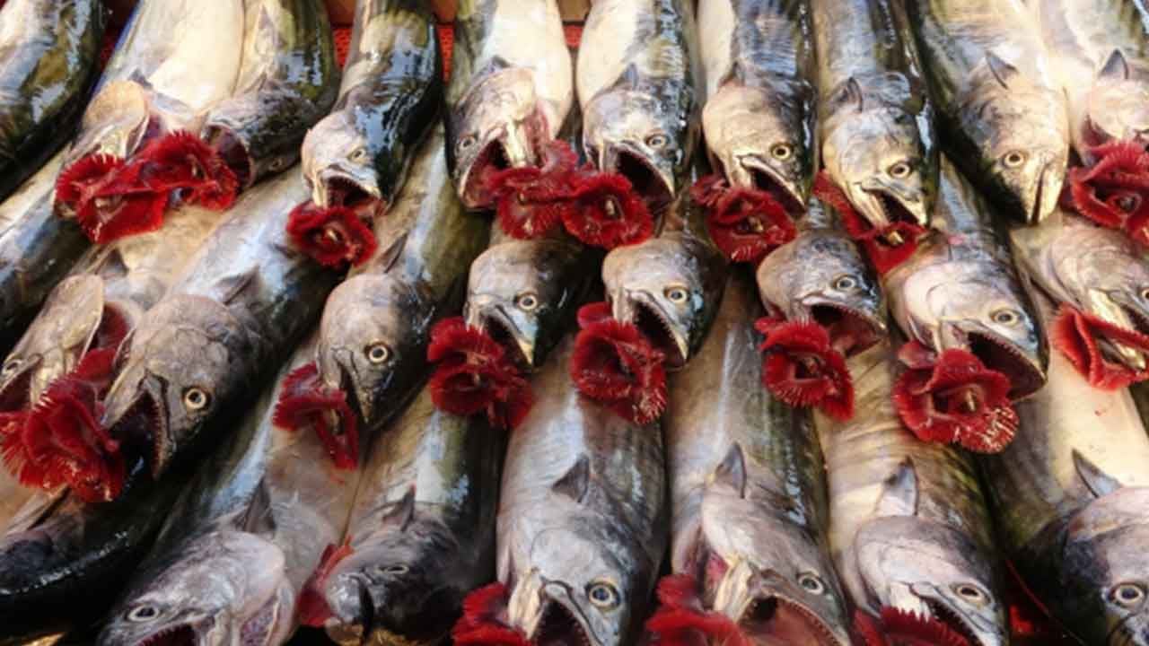 Foto - Rusya almayınca Türkiye 'olay' hamleyi yaptı: Renklerini boyayıp Moskova'ya sattı