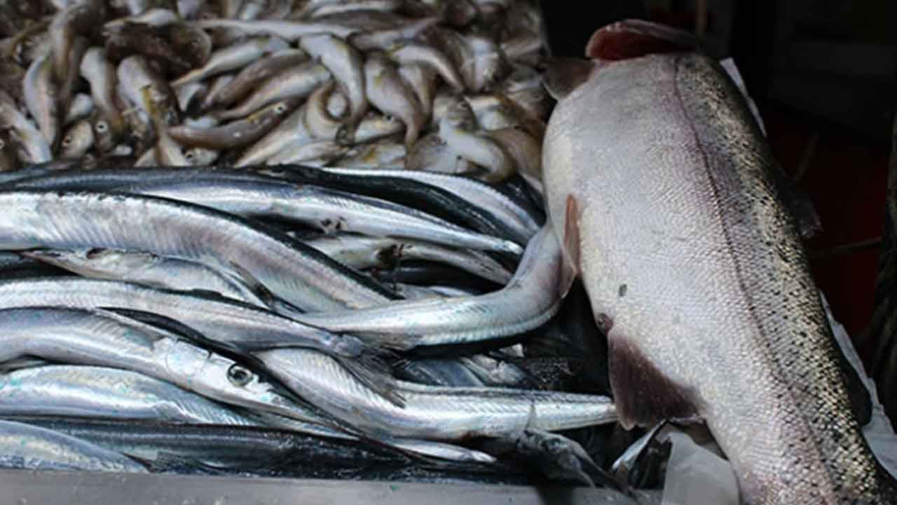 Foto - Rusya almayınca Türkiye 'olay' hamleyi yaptı: Renklerini boyayıp Moskova'ya sattı