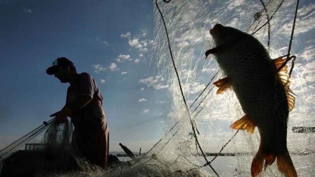 Foto - Rusya almayınca Türkiye 'olay' hamleyi yaptı: Renklerini boyayıp Moskova'ya sattı