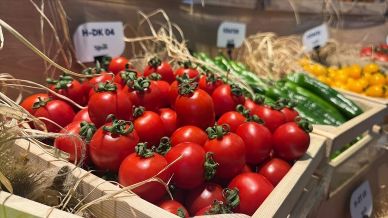 Foto - Rusya, Çin, İspanya ve Hindistan’a durmaksızın gönderiyoruz! Alayı Türkiye’den kapış kapış almaya başladı