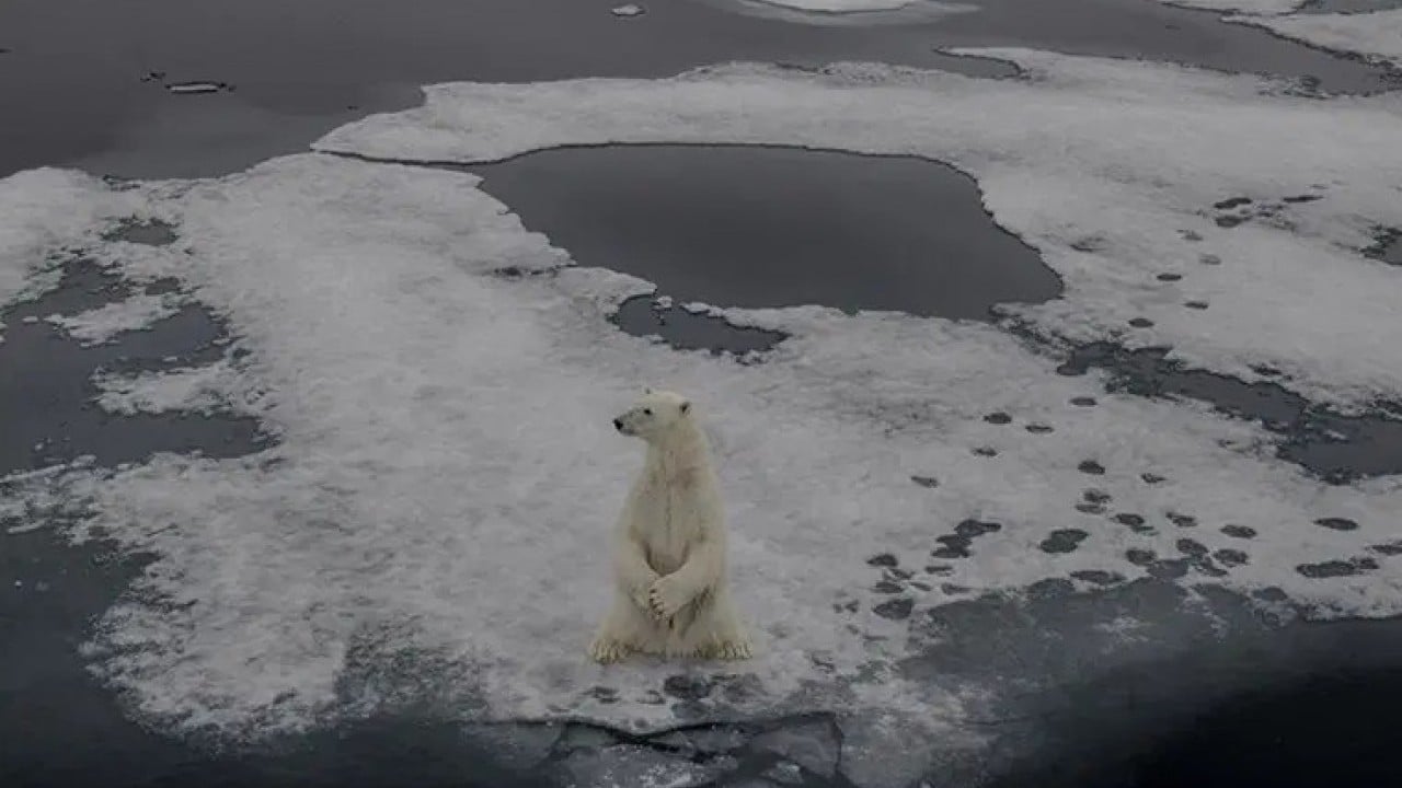 Foto - Rusya duyurdu: Türkiye sessizce incelemeye aldı çünkü çıkarları var