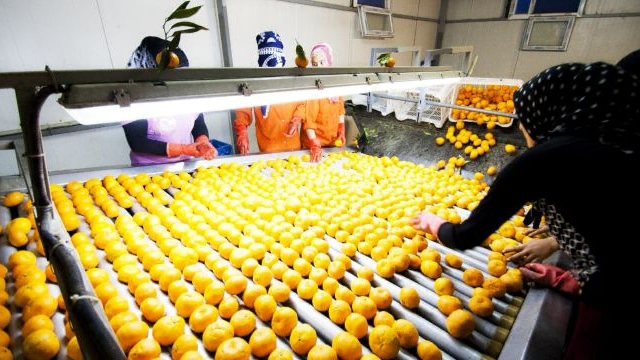 Foto - Rusya köşeye sıkıştı! İran'ı bıraktı, Türkiye'den almaya başladı