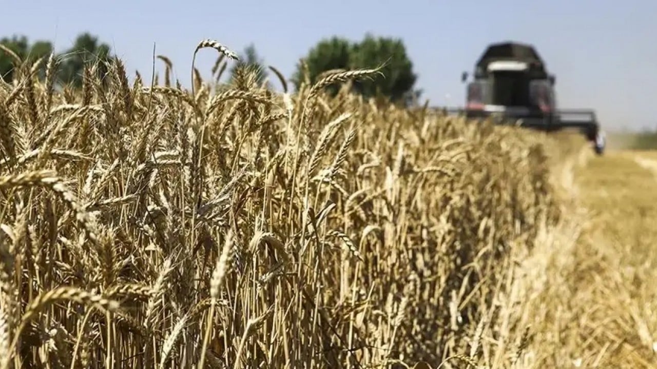 Foto - Rusya talebe yetişemiyor: Türkiye çılgınlar gibi satın almaya başladı