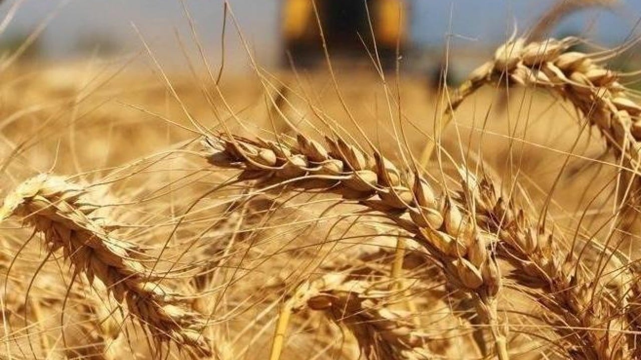 Foto - Rusya talebe yetişemiyor: Türkiye çılgınlar gibi satın almaya başladı