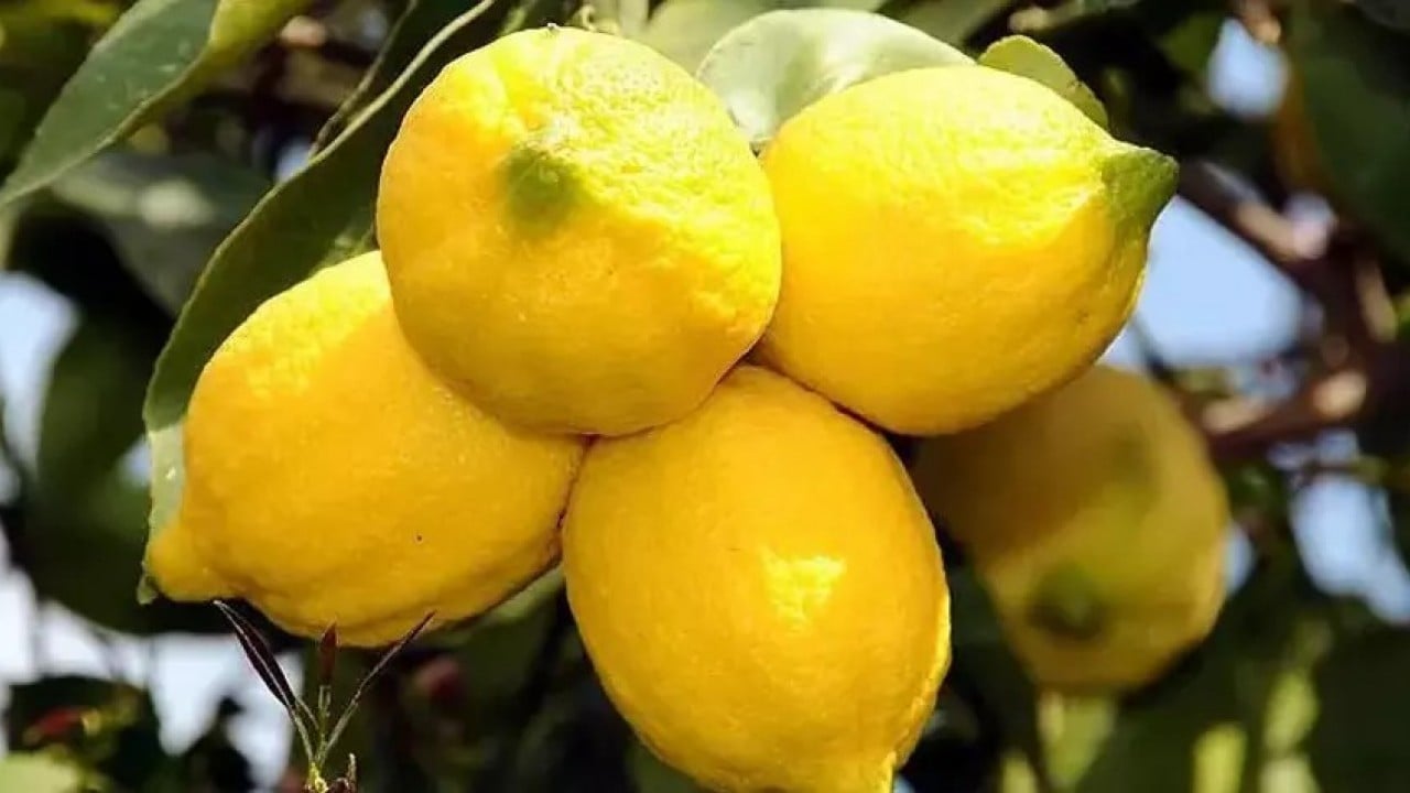 Foto - Rusya Türkiye'den çok ucuza almaya başladı! Markete koşan Ruslar bayram etti