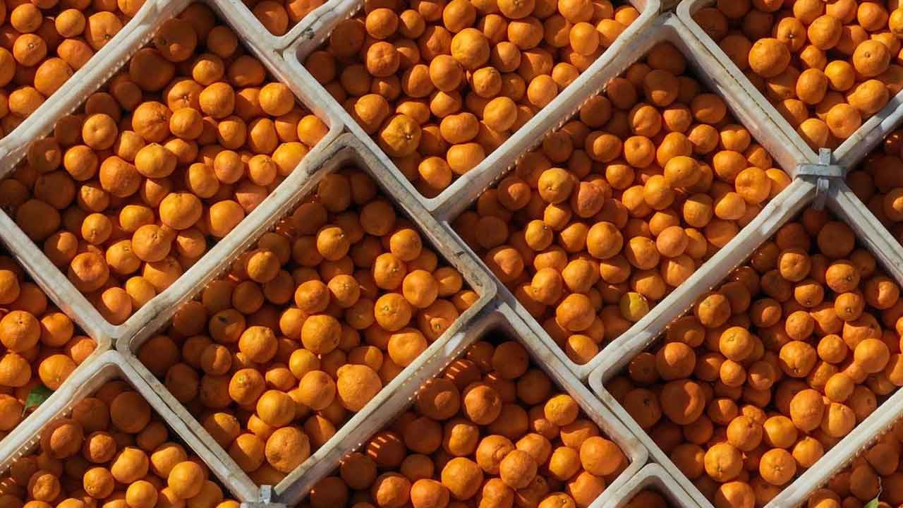 Foto - Rusya Türkiye'den çok ucuza almaya başladı! Markete koşan Ruslar bayram etti