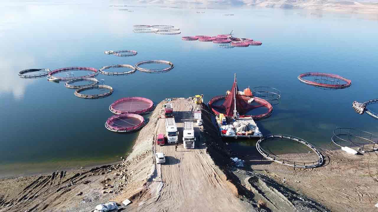 Foto - Rusya ve Japonya gözünü Yozgat'a dikti! 'Hemen gönderin hepsini istiyoruz' diyorlar