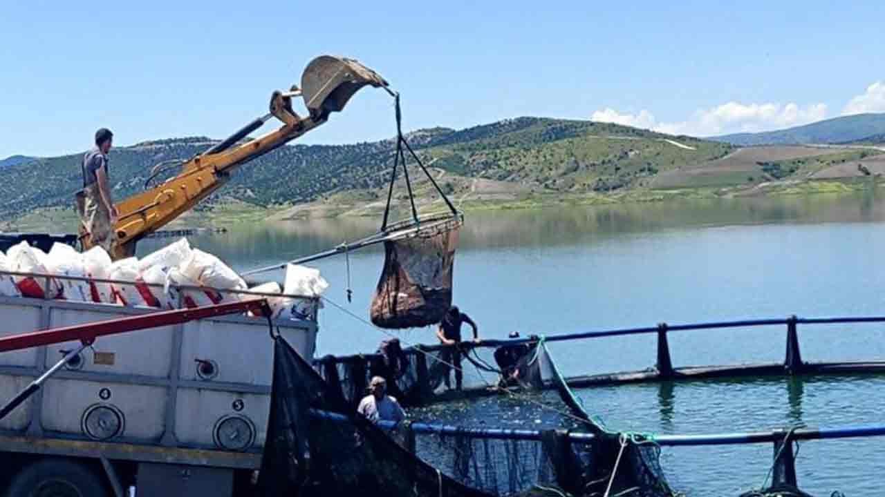 Foto - Rusya ve Japonya gözünü Yozgat'a dikti! 'Hemen gönderin hepsini istiyoruz' diyorlar