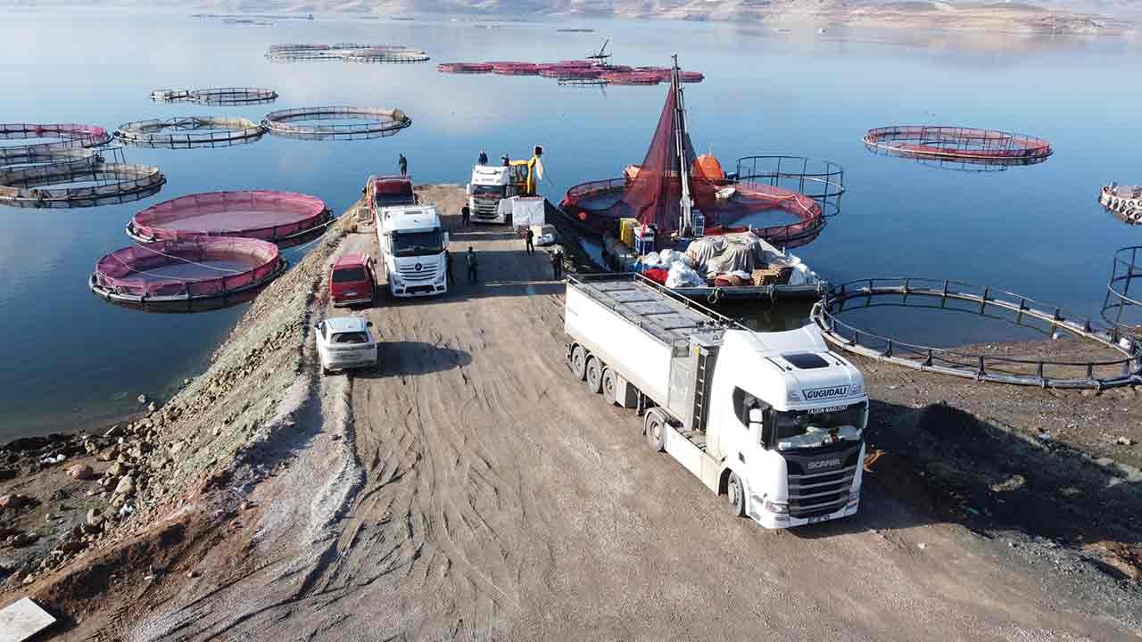 Foto - Rusya ve Japonya gözünü Yozgat'a dikti! 'Hemen gönderin hepsini istiyoruz' diyorlar