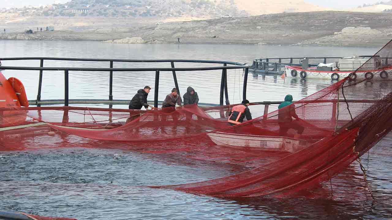 Foto - Rusya ve Japonya gözünü Yozgat'a dikti! 'Hemen gönderin hepsini istiyoruz' diyorlar