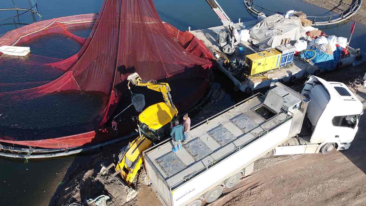 Foto - Rusya ve Japonya gözünü Yozgat'a dikti! 'Hemen gönderin hepsini istiyoruz' diyorlar