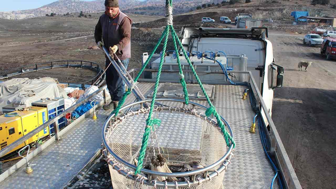 Foto - Rusya ve Japonya gözünü Yozgat'a dikti! 'Hemen gönderin hepsini istiyoruz' diyorlar