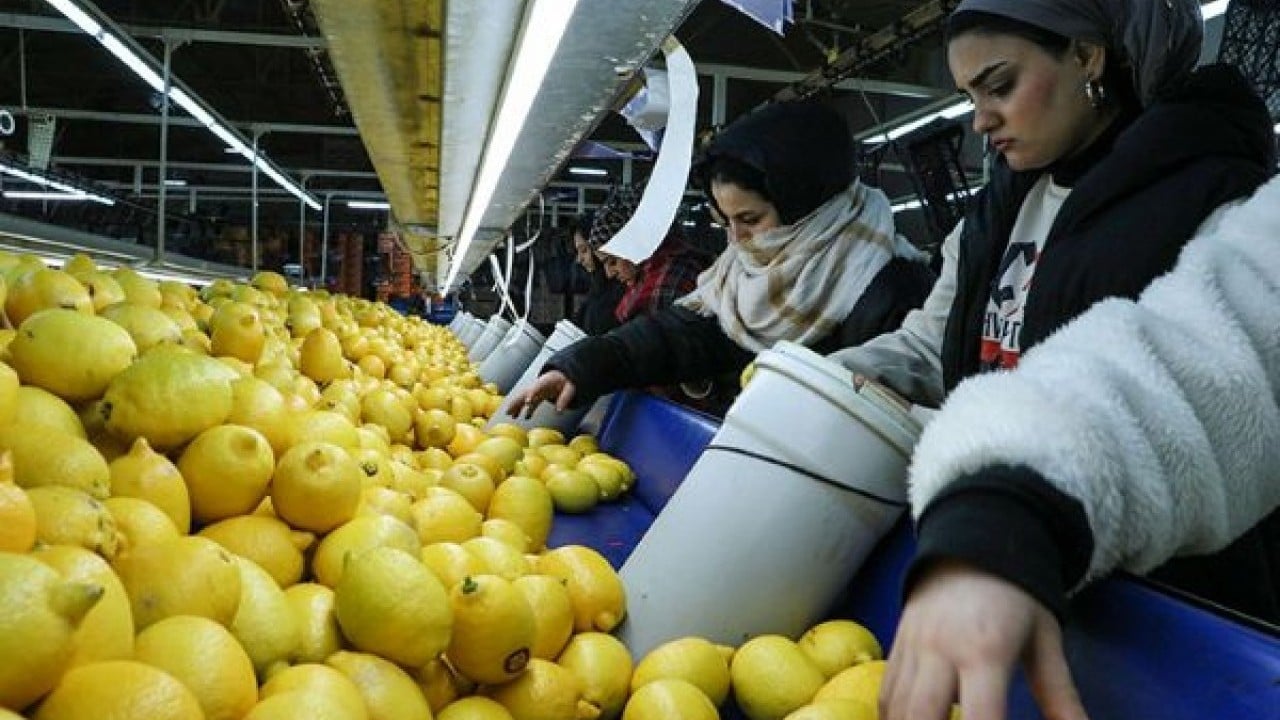 Foto - Rusya'daki krize Türkiye pansuman oldu! Tonlarca aldılar, hala 'gönderin' diyorlar