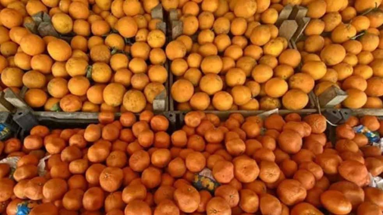 Foto - Rusya'daki krize Türkiye pansuman oldu! Tonlarca aldılar, hala 'gönderin' diyorlar