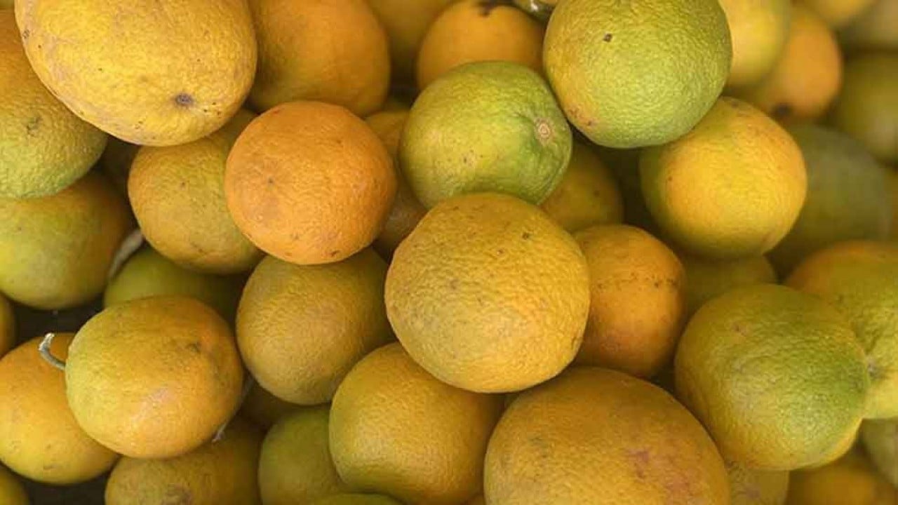 Foto - Rusya'daki krize Türkiye pansuman oldu! Tonlarca aldılar, hala 'gönderin' diyorlar