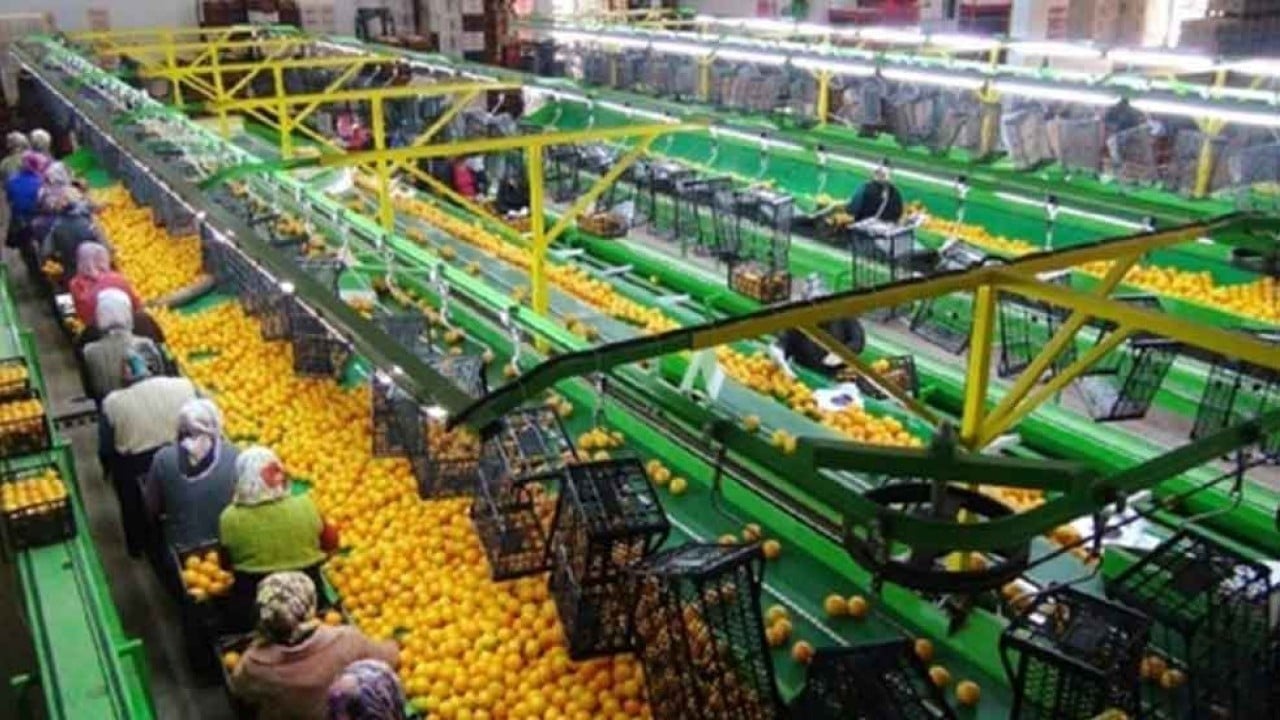 Foto - Rusya'daki krize Türkiye pansuman oldu! Tonlarca aldılar, hala 'gönderin' diyorlar