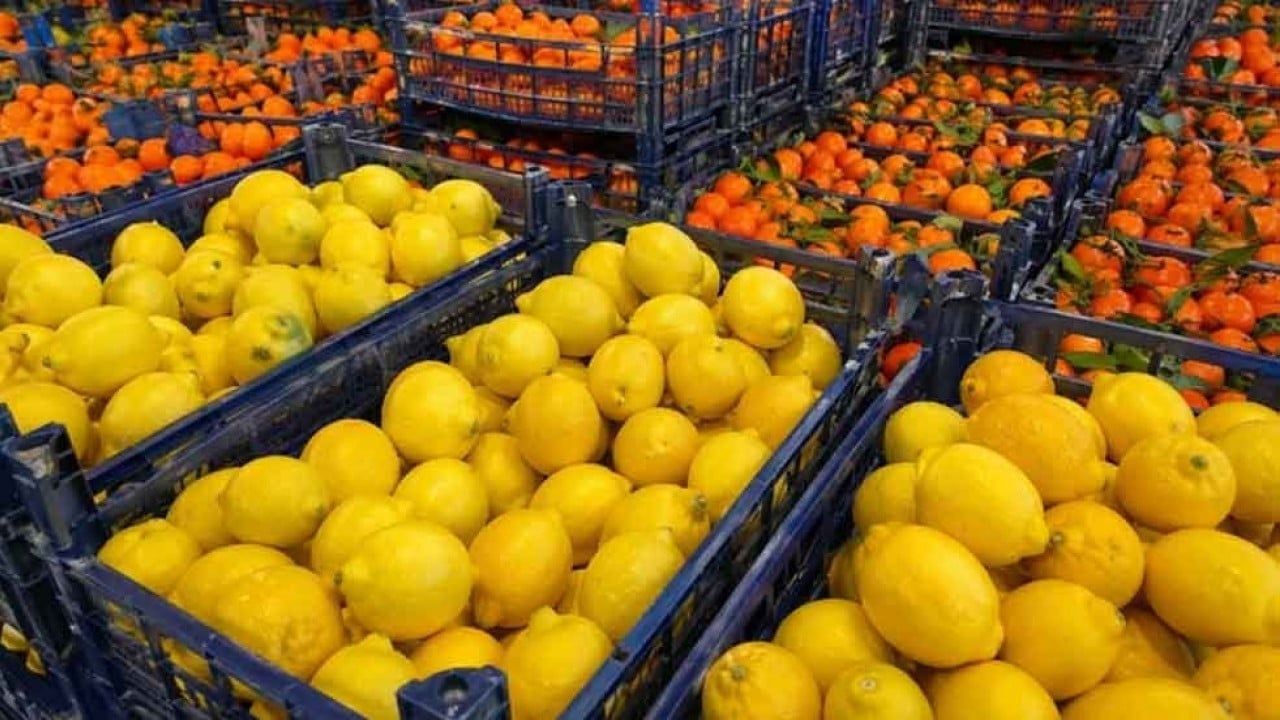 Foto - Rusya'daki krize Türkiye pansuman oldu! Tonlarca aldılar, hala 'gönderin' diyorlar