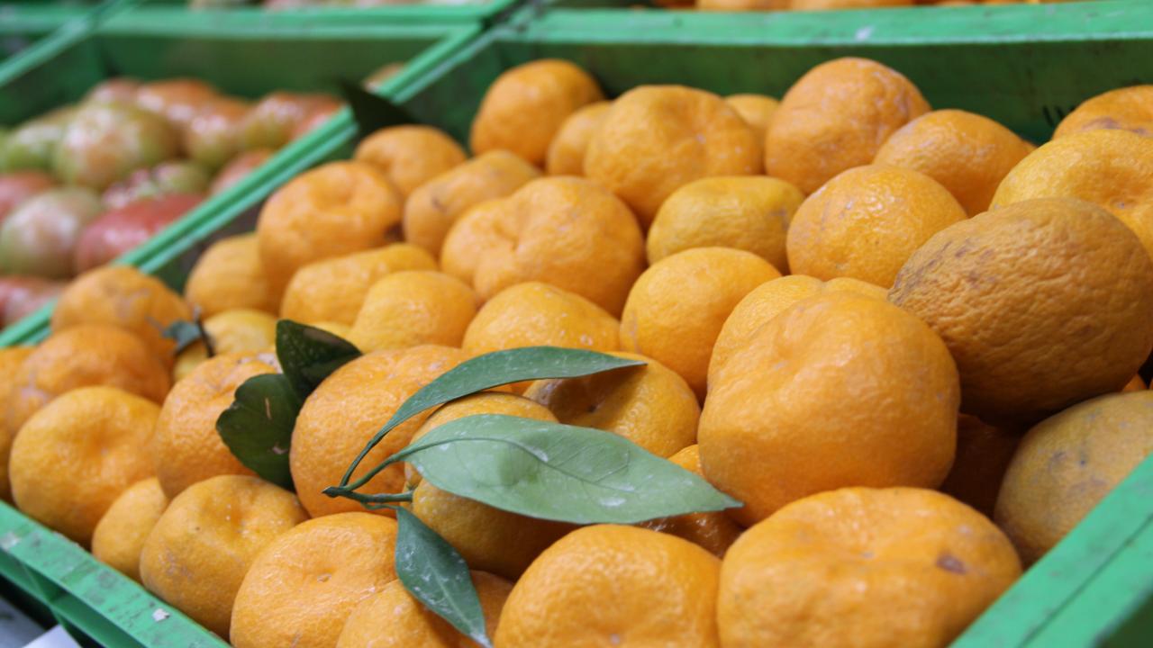 Foto - Rusya'dan çılgın Türkiye kararı: 300 bin ton sipariş verdiler