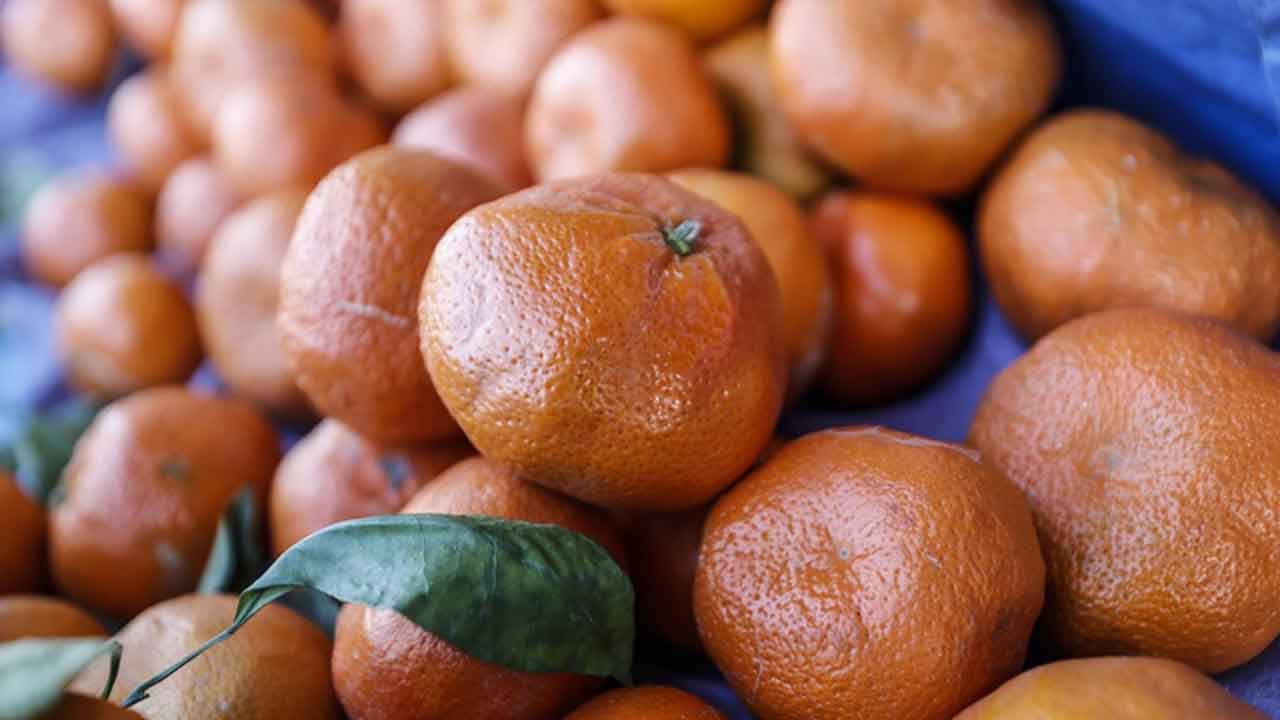 Foto - Rusya'dan çılgın Türkiye kararı: 300 bin ton sipariş verdiler