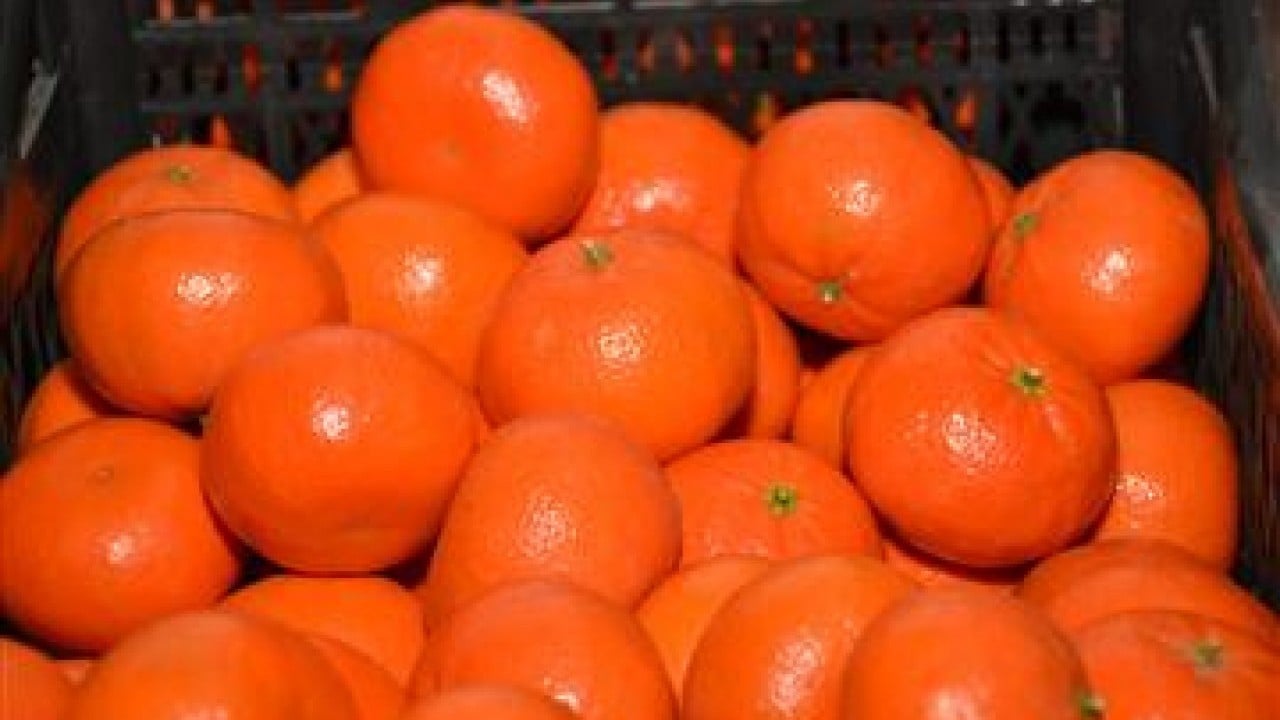 Foto - Rusya'dan çılgın Türkiye kararı: 300 bin ton sipariş verdiler