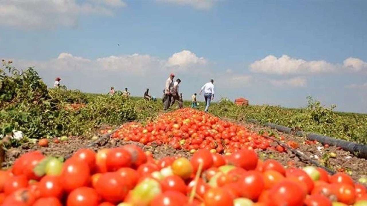Foto - Rusya'dan şok eden karar: 5 Türk firmasına alelacele yasak getirdiler