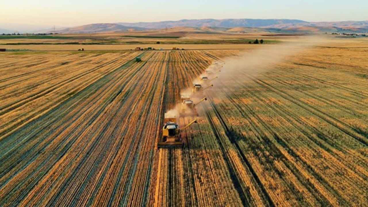 Foto - Rusya'dan şok eden karar: 5 Türk firmasına alelacele yasak getirdiler