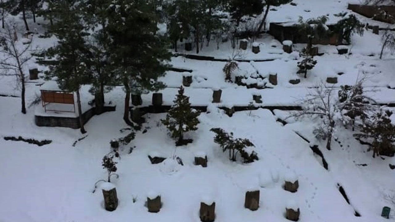 Foto - Rüya gibi manzara! 3 bin yıllık miras beyaza büründü