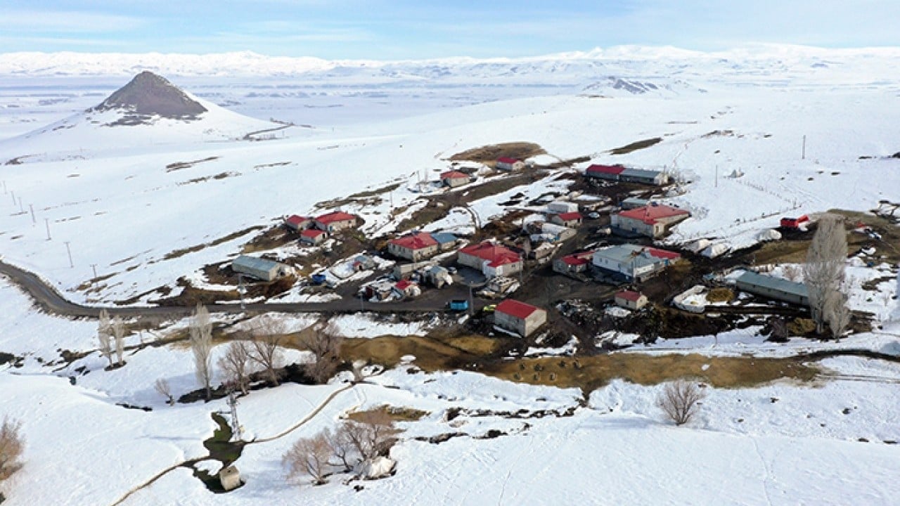 Sabah erkenden yola düşüyorlar Karlı dağlarda tek sıra beslenme yolculuğu