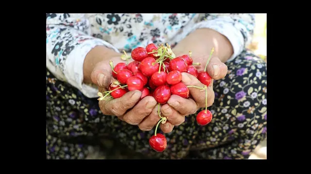 Sabahları aç karnına 1 tane yemek bile bakın ne işe yarıyor? Bu yıl yeniden tezgahlarda 1. sıraya girdi