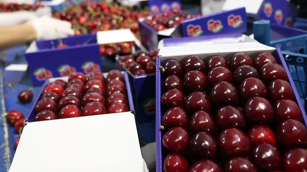 Foto - Sabahları aç karnına 1 tane yemek bile bakın ne işe yarıyor? Bu yıl yeniden tezgahlarda 1. sıraya girdi