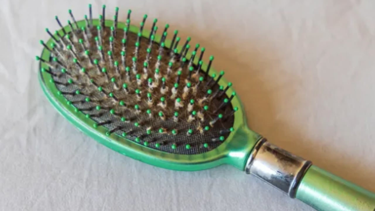 Foto - Saç stilisti o detaya vurgu yaptı... Saç fırçanızdaki o gri tabakaya...