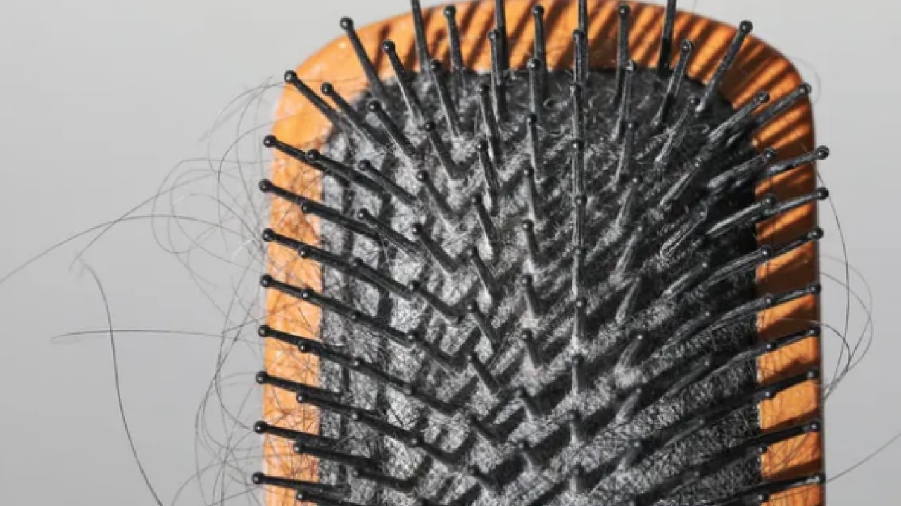 Foto - Saç stilisti o detaya vurgu yaptı... Saç fırçanızdaki o gri tabakaya...