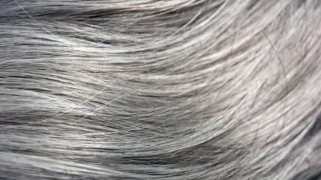 Saç boyamaya son! Saç yakan boyalar çöpe: Beyaz saçları simsiyah yapan çözüm var! Kına ve indigo...