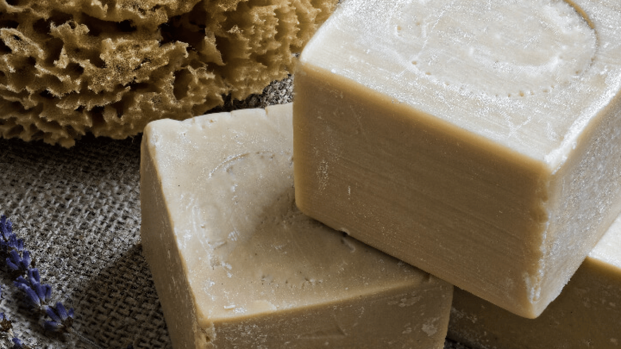 Foto - Saçlar için en popüler 9 saç sabunu! Çare olmadı diyenler işe yarıyor bunu yapın! Adeta kalkan, hepsi bolca lazım