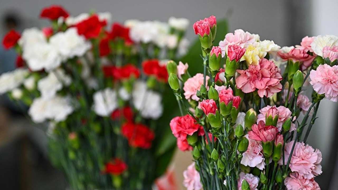 Foto - Saçma sapan âdet Türkiye'ye yaradı! Yunanistan deli gibi Antalya'dan satın almaya başladı