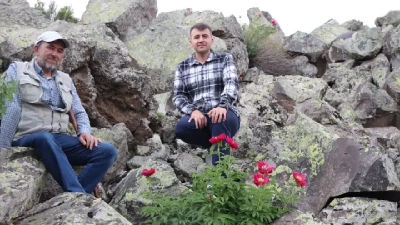 Foto - Sadece 10 gün ömrü var: Zarar verene büyük ceza!