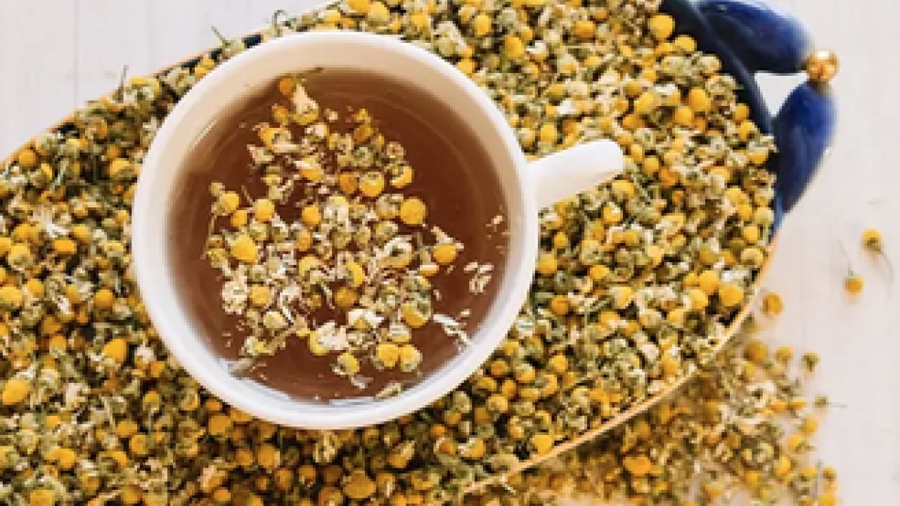 Foto - Sadece bir fincan yetiyor: Mide yanmasına iyi gelen 3 bitki çayı! Açıkladılar