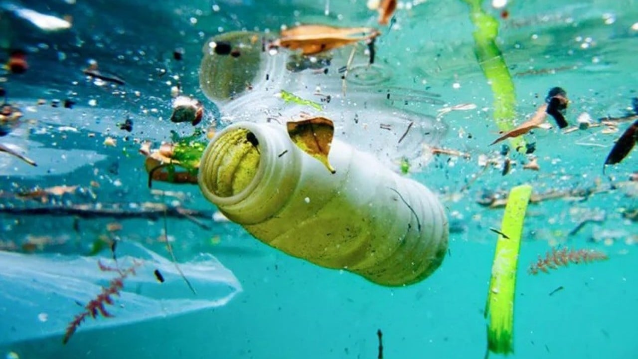Foto - Sadece fiziksel atık değilller Denizde kimyasal yüklü mobil plastik alarmı