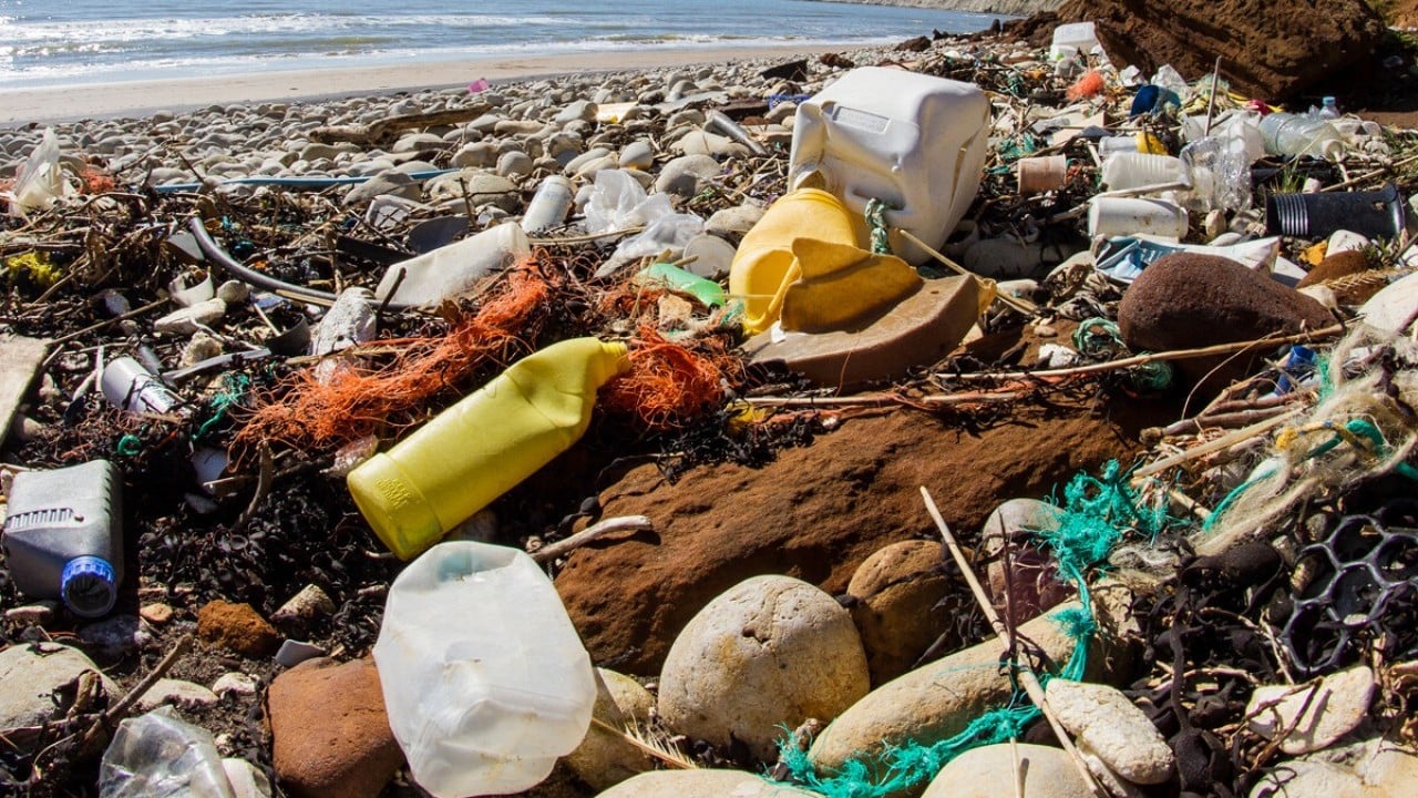 Foto - Sadece fiziksel atık değilller Denizde kimyasal yüklü mobil plastik alarmı