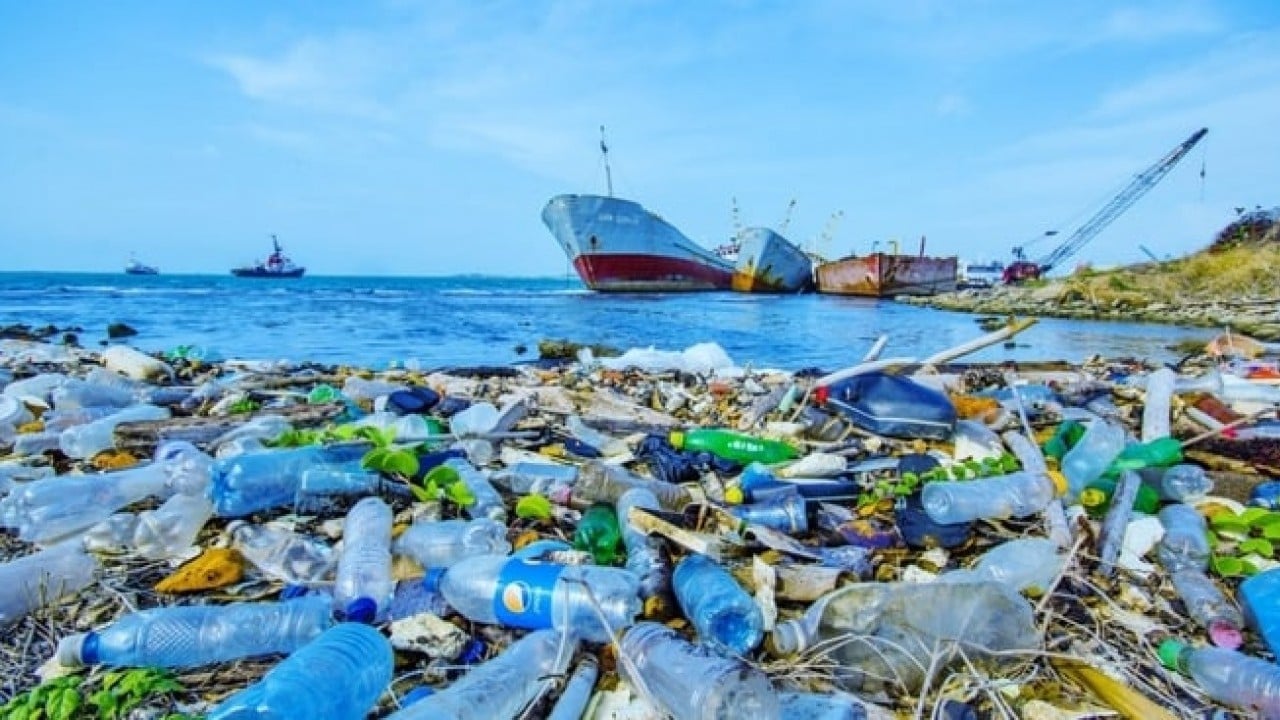 Foto - Sadece fiziksel atık değilller Denizde kimyasal yüklü mobil plastik alarmı