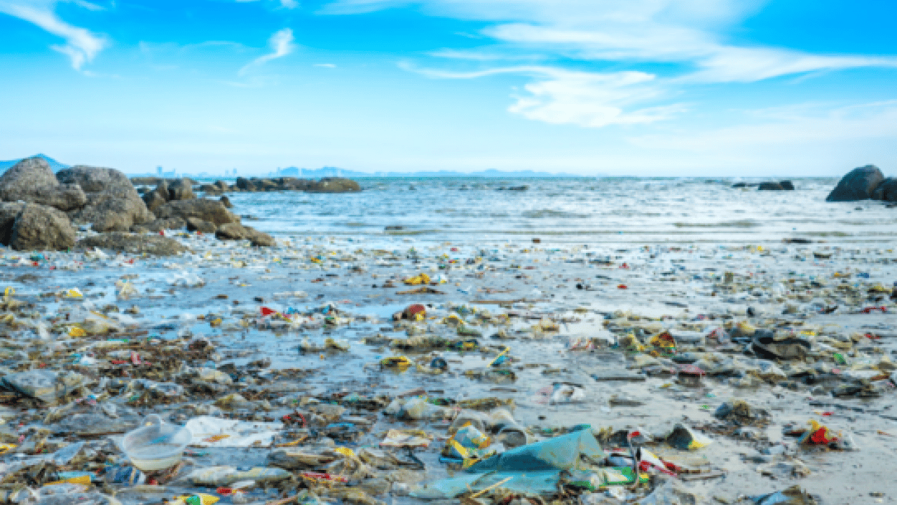 Foto - Sadece fiziksel atık değilller Denizde kimyasal yüklü mobil plastik alarmı