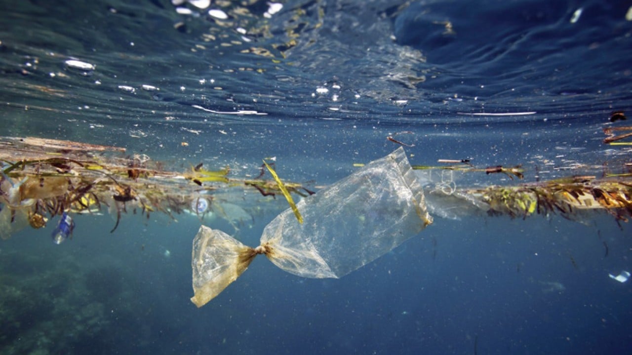 Foto - Sadece fiziksel atık değilller Denizde kimyasal yüklü mobil plastik alarmı
