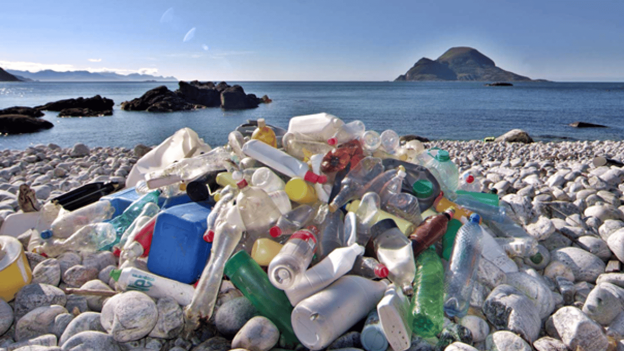 Foto - Sadece fiziksel atık değilller Denizde kimyasal yüklü mobil plastik alarmı