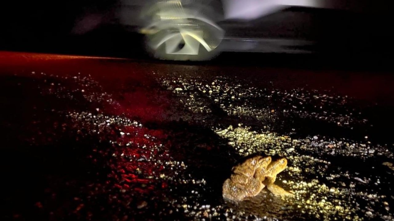 Foto - Sadece o yöreye özgü bir doğa olayı 5 bin yıllık göç yeniden başladı