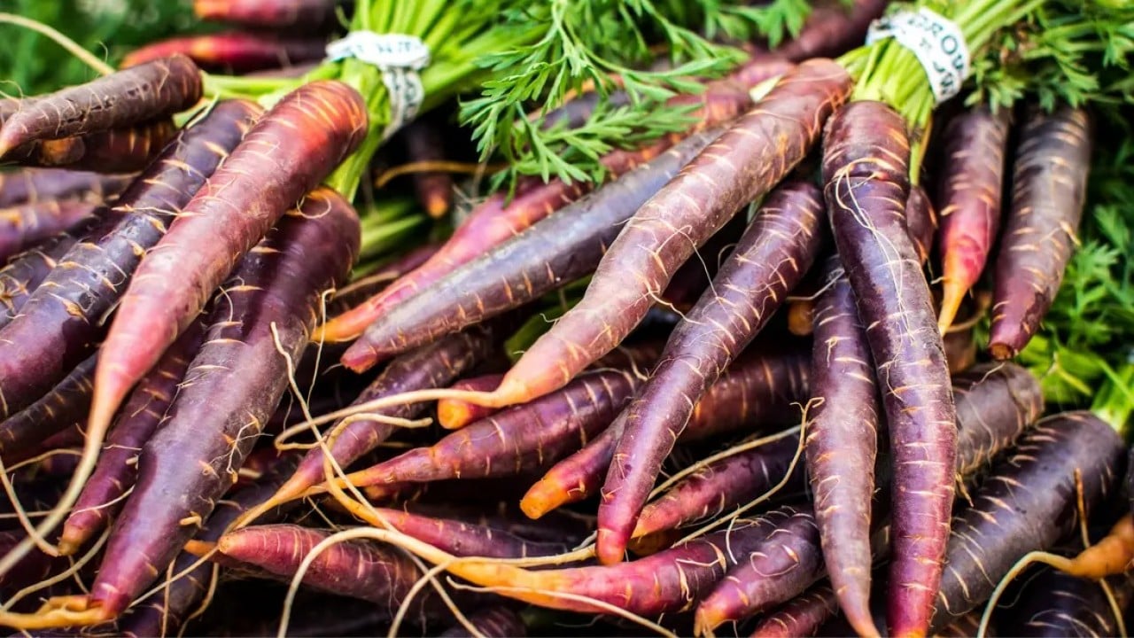 Foto - Sağlığın rengi değişti: Siyah havuç neden bu kadar değerli?